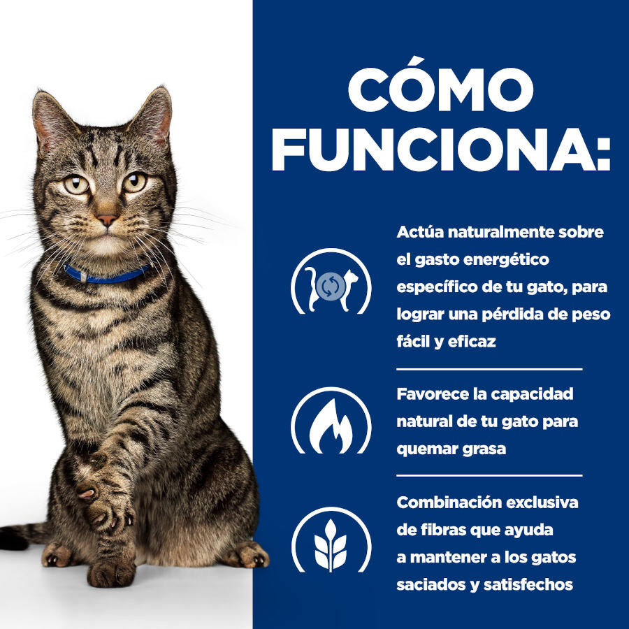 82 g Hill's Prescription Diet Metabolic Estofado de Pollo y Vegetales lata para gatos, , large Imagen numero 3